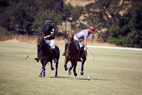 Oyster Cup Polo tournament