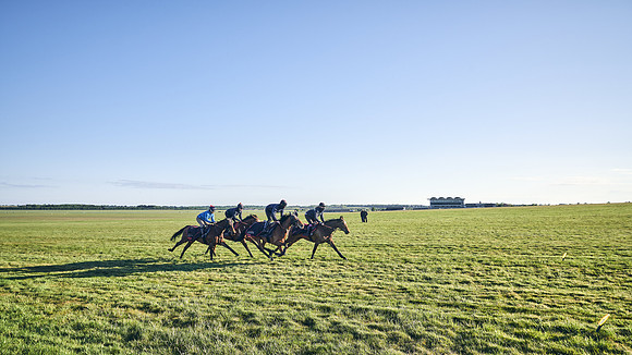 SUMMER GALLOPS-2nd-May-DJ-1073