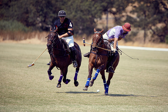 Oyster Cup Polo tournament