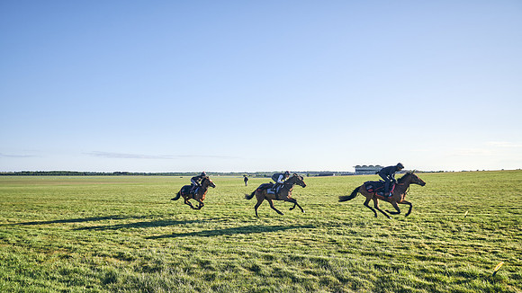 SUMMER GALLOPS-2nd-May-DJ-0990