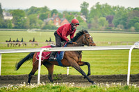 5th May 22 Warren Hill 006