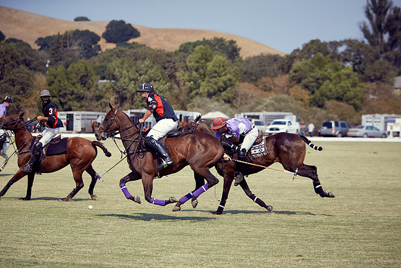 Oyster Cup Polo tournament