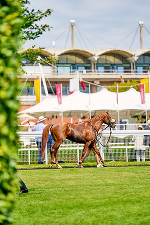 QGF2024_DominicJames_06848