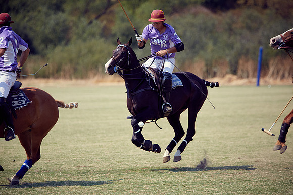 Oyster Cup Polo tournament