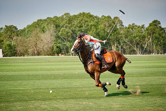 THAI-PINK-POLO-2019_DJ_3978