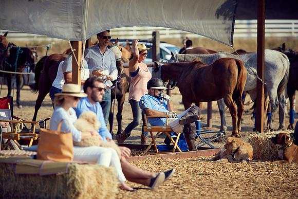Oyster Cup Polo tournament