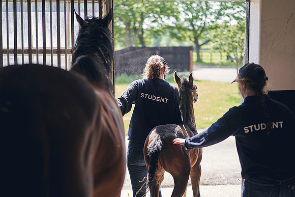 The-National-Stud-Dominic-James_DOM9441