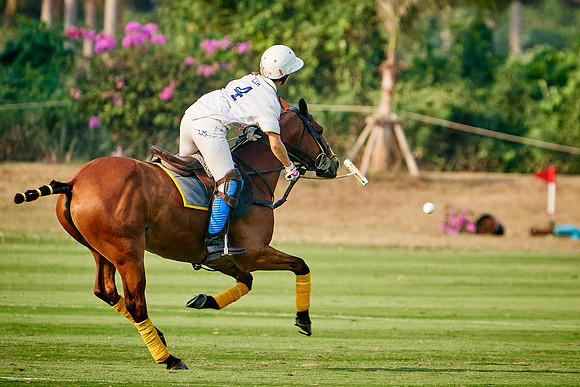 THAI-PINK-POLO-2020-Dominic-James_DJ95101.ARW-10623