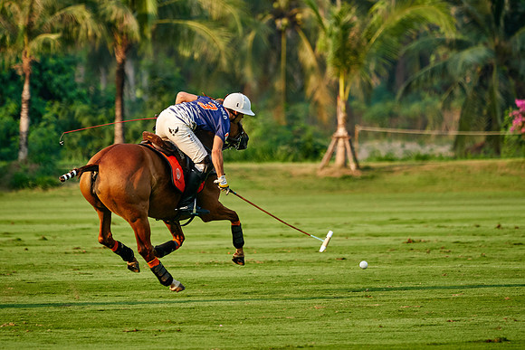 THAI-POLO-OPEN-2019_DJ_1019