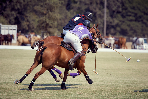 Oyster Cup Polo tournament