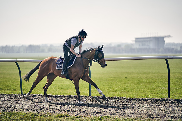 GEORGE-BOUGHEY-RACING-DJ-3365