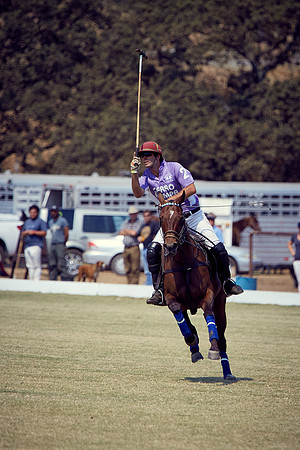 Oyster Cup Polo tournament