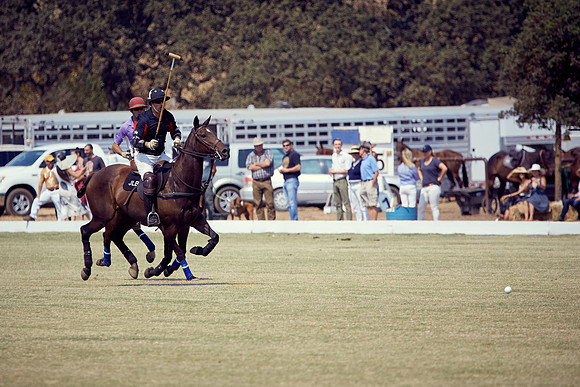 Oyster Cup Polo tournament