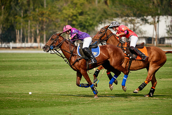 THAI-PINK-POLO-2020-Dominic-James_DJ98901.ARW3027