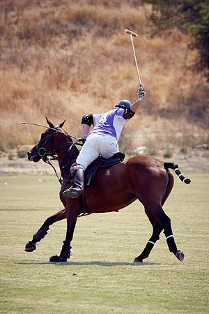 Oyster Cup Polo tournament