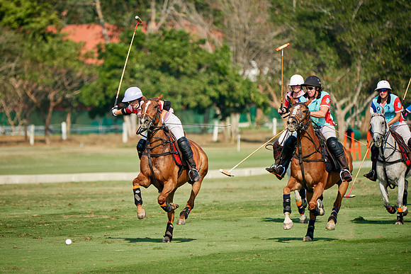 THAI-PINK-POLO-2019_DJ_4541