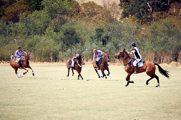 Oyster Cup Polo tournament