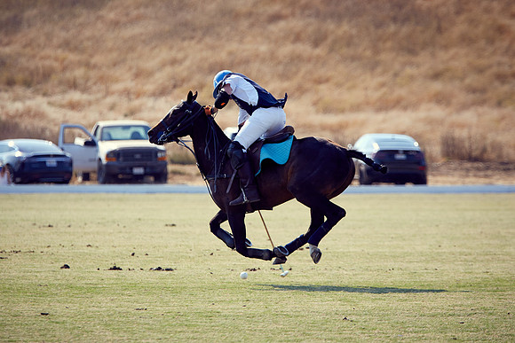 Oyster Cup Polo tournament