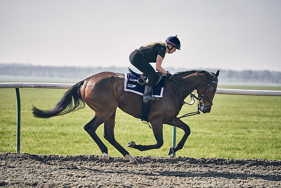 GEORGE-BOUGHEY-RACING-DJ-3422