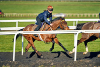 26th Feb 22 Warren Hill 014