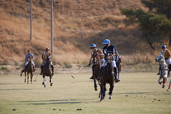 Oyster Cup Polo tournament