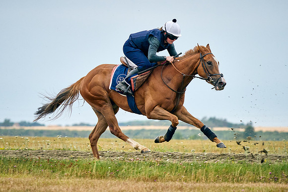 2022-07-23-DominicJames-1297