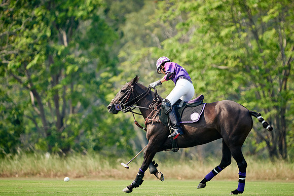 THAI-PINK-POLO-2020-Dominic-James_DJ98138.ARW2264