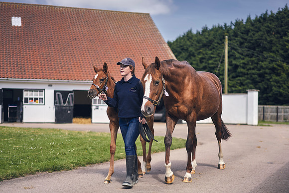 The-National-Stud-Dominic-James_DOM9613