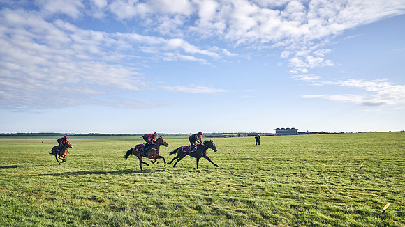 SUMMER GALLOPS-2nd-May-DJ-1632