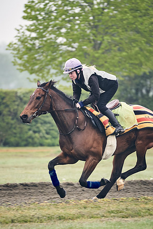 NEWMARKET-GALLOPS-24nd-APRIL-DJ-0178