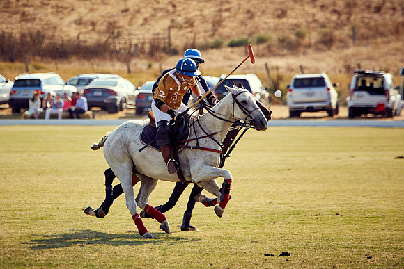 Oyster Cup Polo tournament
