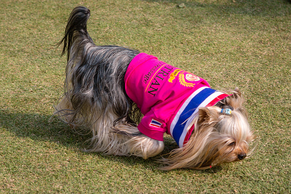 20140125-Dominic-James-Day-2-5G3A8638