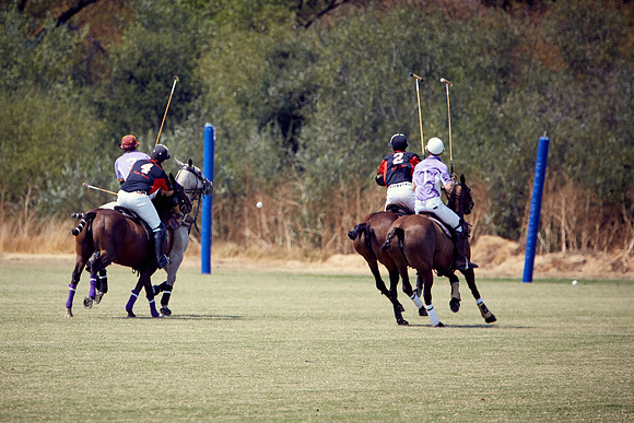 Oyster Cup Polo tournament