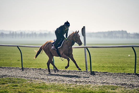 GEORGE-BOUGHEY-RACING-DJ-3331