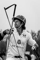 Royal Salute Gold Cup 2012 China Polo Open Tournament