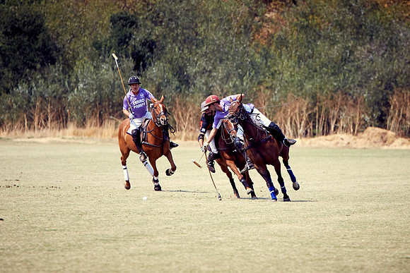 Oyster Cup Polo tournament