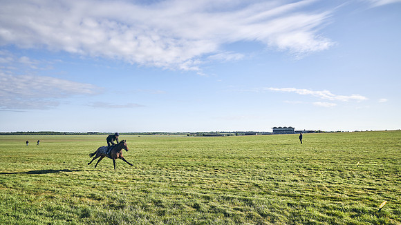 SUMMER GALLOPS-2nd-May-DJ-1559