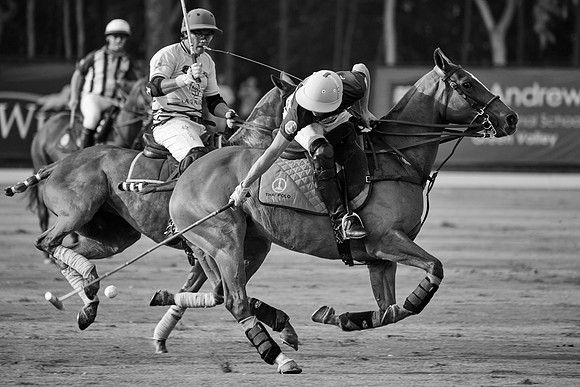 THAI-POLO-OPEN-2019_DJ_0851
