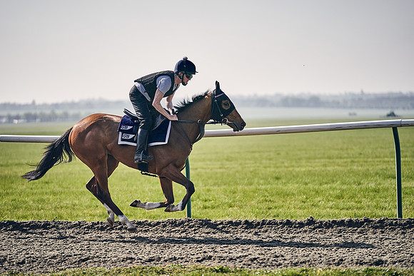 GEORGE-BOUGHEY-RACING-DJ-3374