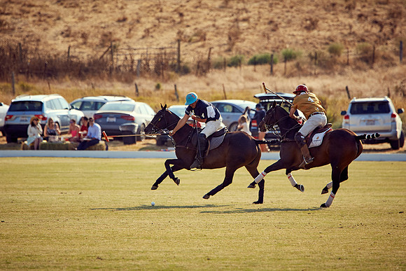 Oyster Cup Polo tournament