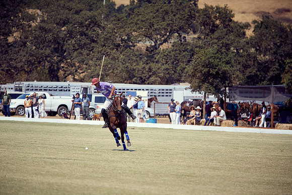 Oyster Cup Polo tournament