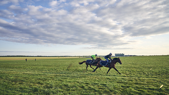 SUMMER GALLOPS-2nd-May-DJ-0576