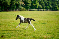 2025-06-09-Dominic-James-00257