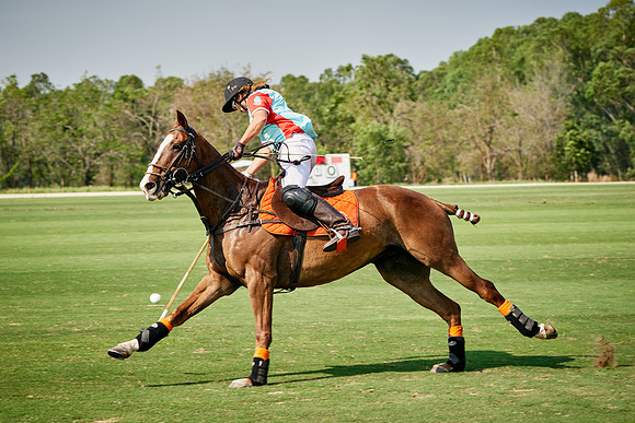 THAI-PINK-POLO-2019_DJ_3981