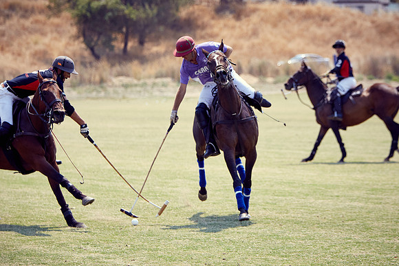 Oyster Cup Polo tournament