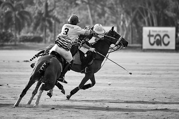 THAI-POLO-OPEN-2019_DJ_0977