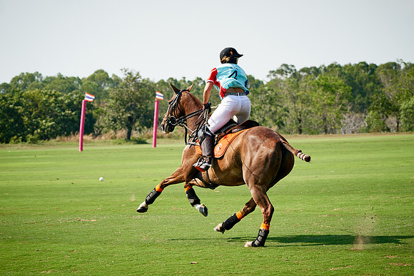 THAI-PINK-POLO-2019_DJ_3989