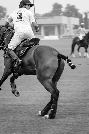 Royal Salute Gold Cup 2012 China Polo Open Tournament