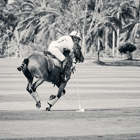 THAI-PINK-POLO-2019-FINALS_DJ_7203 1