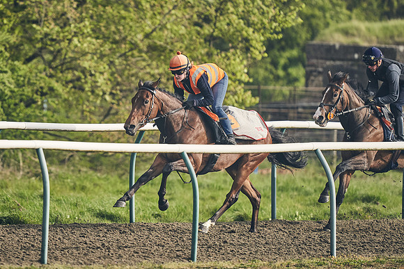 NEWMARKET-GALLOPS-24nd-APRIL-DJ-0672